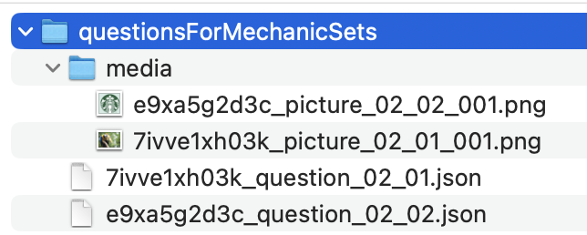 import multiple questions